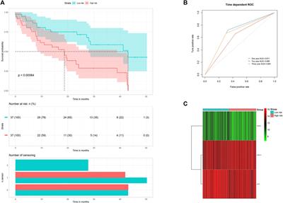 Development and Validation of the Prognostic Index Based on Inflammation-Related Gene Analysis in Idiopathic Pulmonary Fibrosis